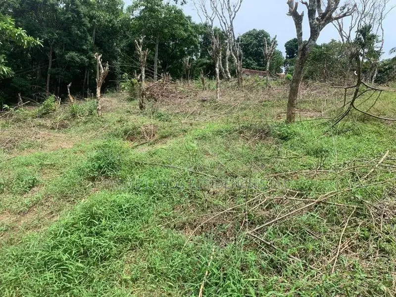 Lands for Sale in Gelioya Pethiyagoda