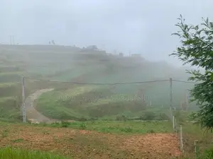 Lands for Sale in Ambewela