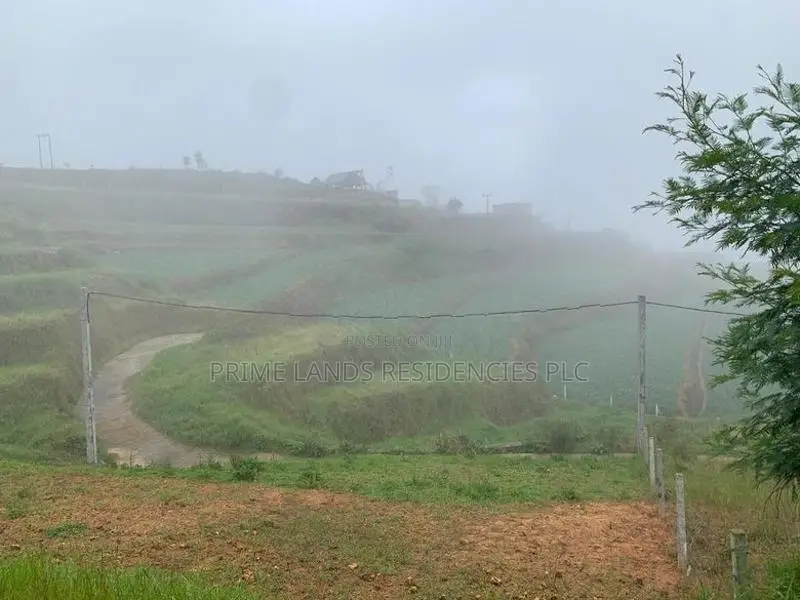 Lands for Sale in Ambewela