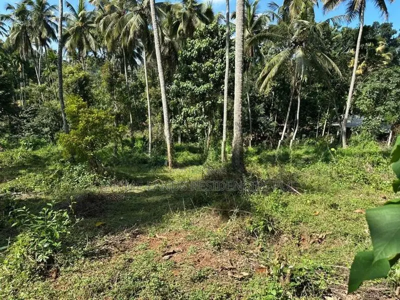 Lands for Sale in Gelioya Pethiyagoda