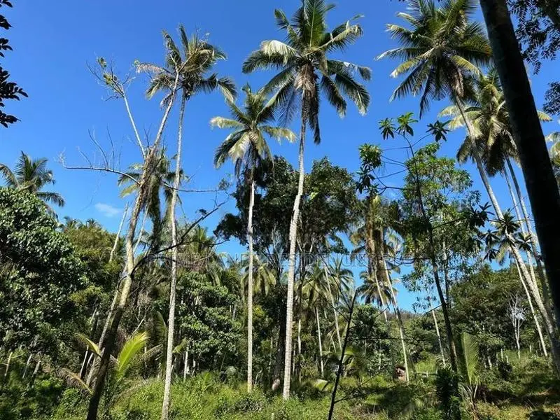 Lands for Sale in Gelioya Pethiyagoda