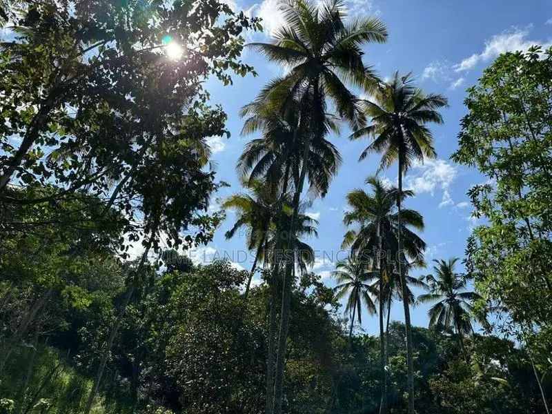 Lands for Sale in Gelioya Pethiyagoda