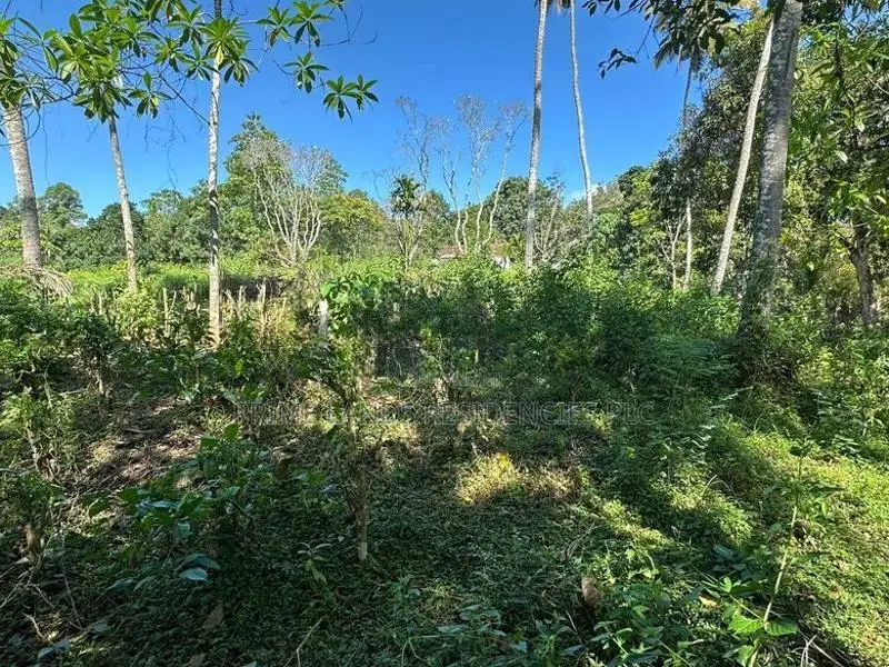 Lands for Sale in Gelioya Pethiyagoda