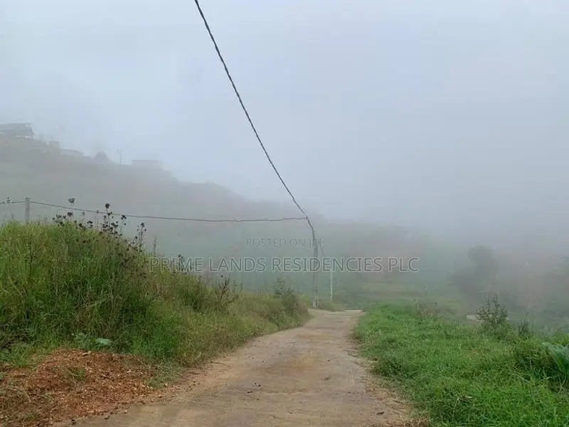 Lands for Sale in Ambewela