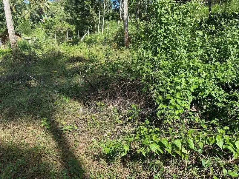 Lands for Sale in Gelioya Pethiyagoda