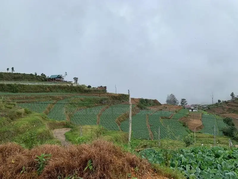 Lands for Sale in Ambewela