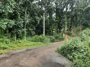 Residential Land for Sale in Nelumdeniya