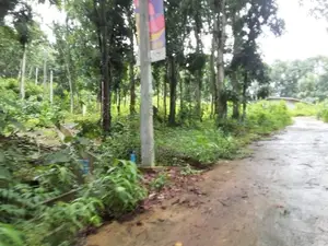Residential Land for Sale in Nelumdeniya