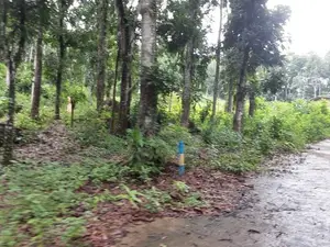 Residential Land for Sale in Nelumdeniya