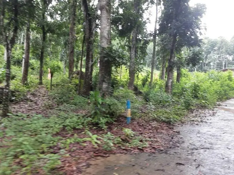 Residential Land for Sale in Nelumdeniya