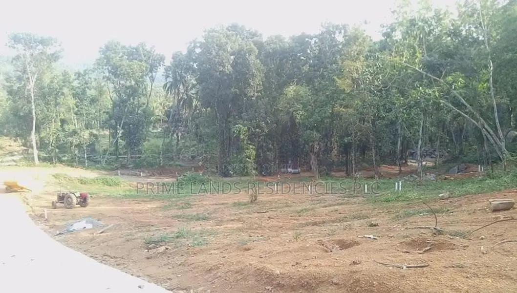 Residential Land for Sale in Nelumdeniya