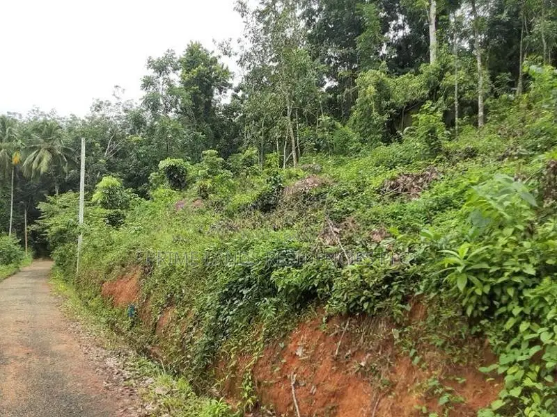 Residential Land for Sale in Nelumdeniya