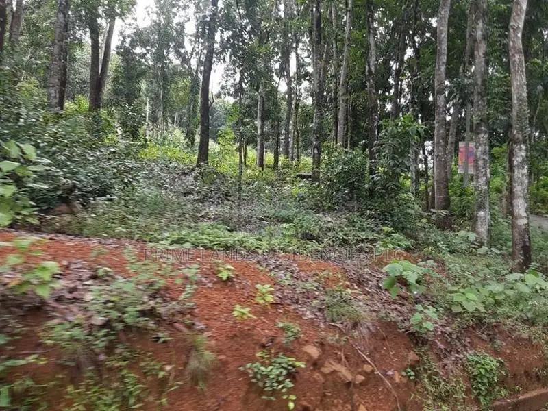Residential Land for Sale in Nelumdeniya
