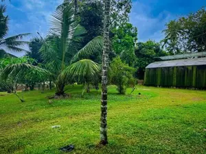 Land for Sale in Biyagama