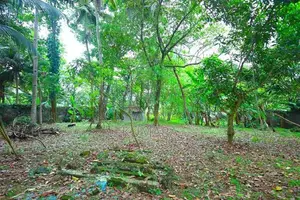 Residential Land for Sale in Panadura