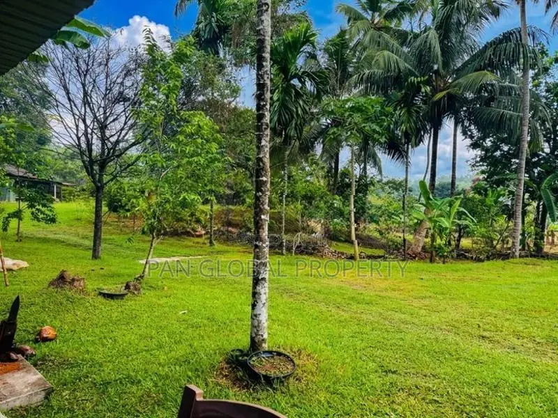 Land for Sale in Biyagama