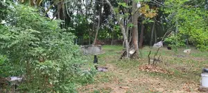 Land with House for Sale Kurunegala