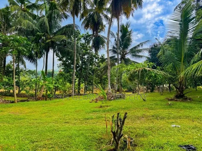 Land for Sale in Biyagama