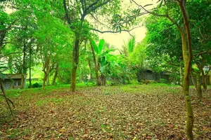 Residential Land for Sale in Panadura