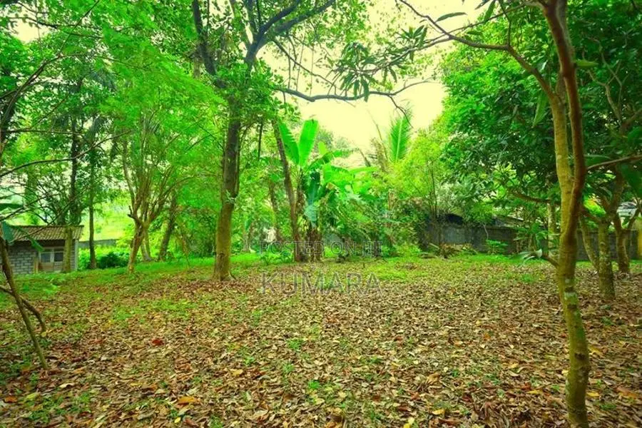 Residential Land for Sale in Panadura