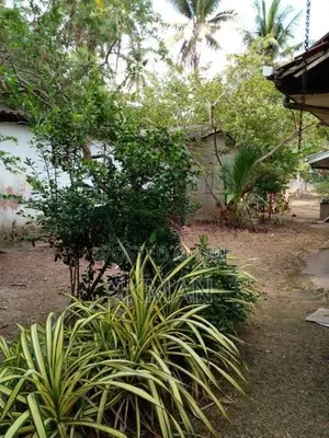 Land for Sale with House Ja Ela