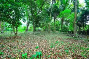 Residential Land for Sale in Panadura