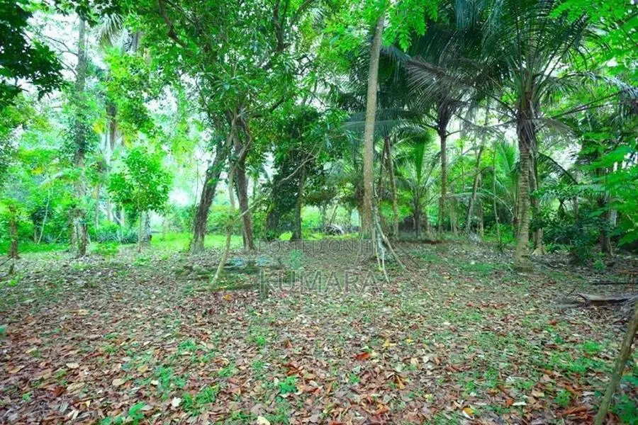 Residential Land for Sale in Panadura