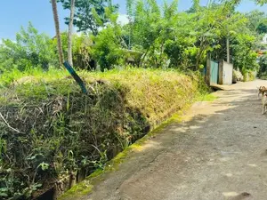 Lands for Sale in Uthuwankanda Mawanella