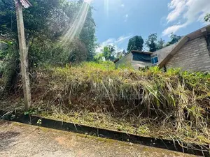 Lands for Sale in Uthuwankanda Mawanella