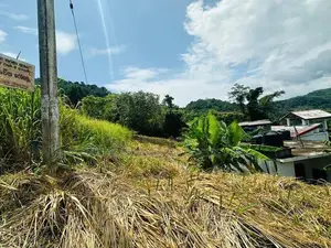 Lands for Sale in Uthuwankanda Mawanella