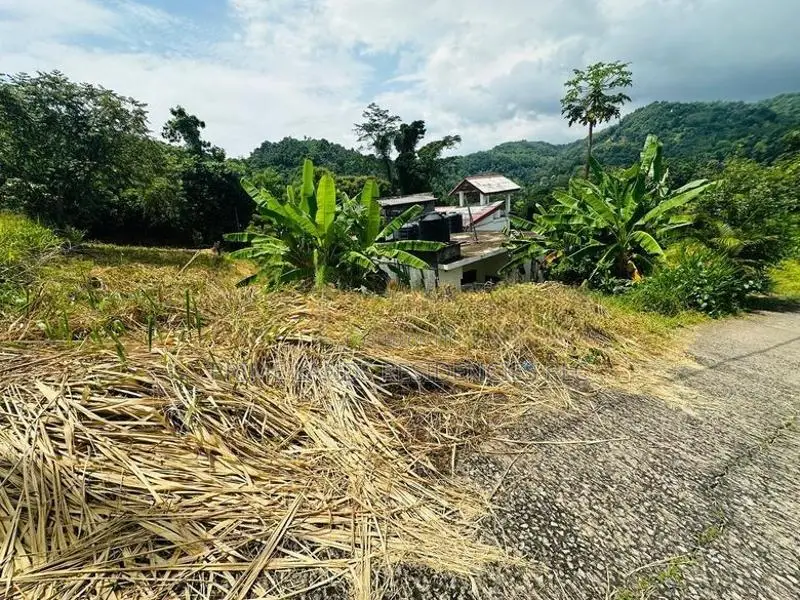 Lands for Sale in Uthuwankanda Mawanella