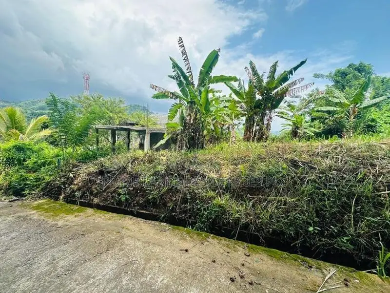 Lands for Sale in Uthuwankanda Mawanella