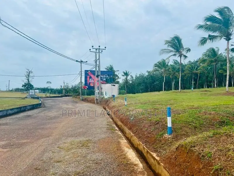 අලුත්ගමින් හොඳ ඉඩමක්