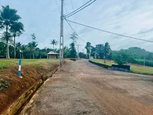 අලුත්ගමින් හොඳ ඉඩමක්