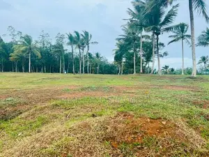 පදිංචියට හොඳ ඉඩමක් අලුත්ගමින්