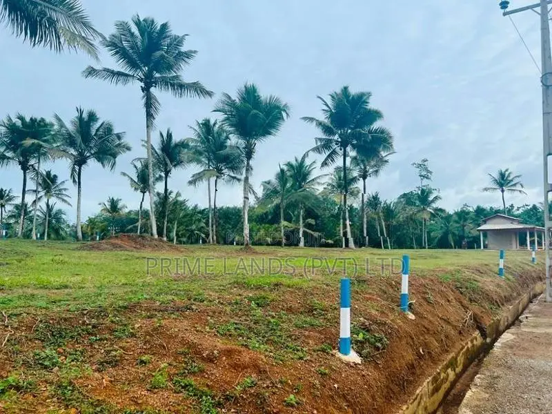 නේවාසික බිම් කොටස් අලුත්ගමින්