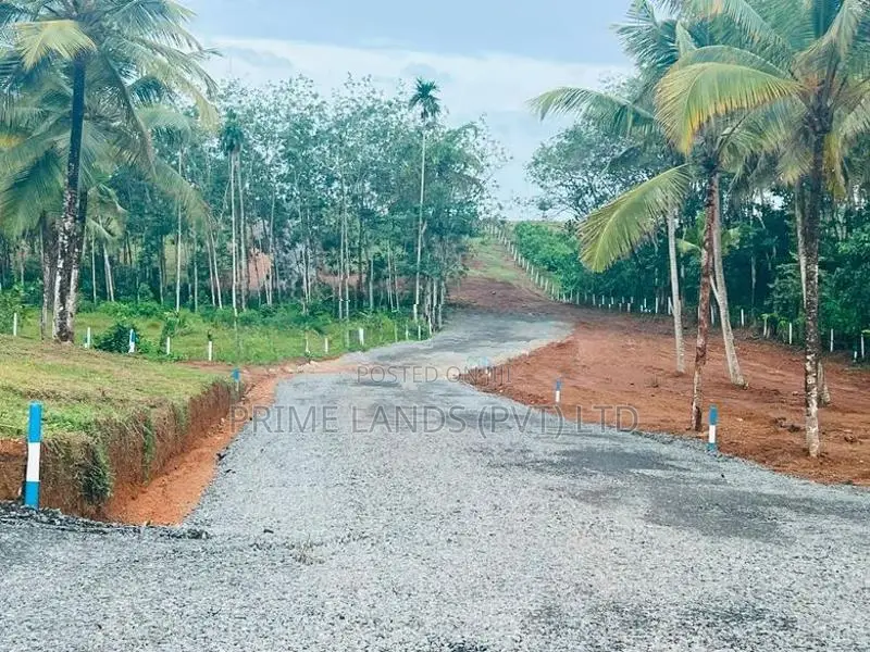 නේවාසික බිම් කොටස් අලුත්ගමින්