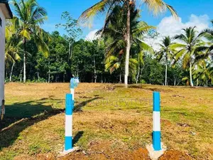 අලුත්ගම ඉඩමක්