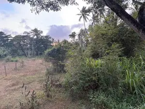 52 Perches Land For Sale In Hettipola Kuliyapitiya Main Road