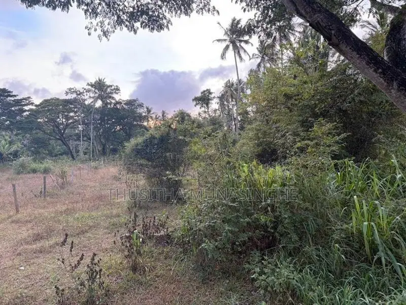 52 Perches Land For Sale In Hettipola Kuliyapitiya Main Road