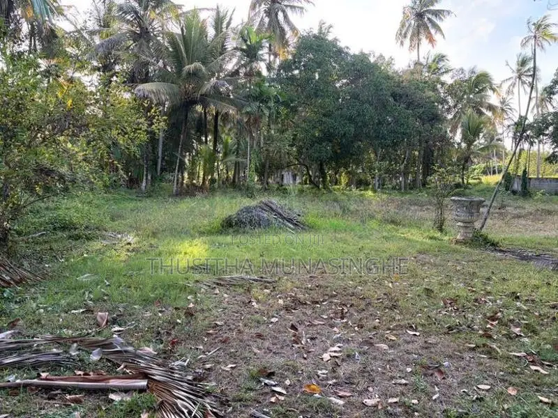 120 Perches Land For Sale In Hettipola