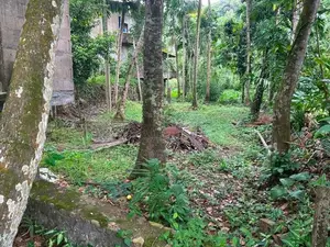 Land for Sale in Kandy Thannakumbura
