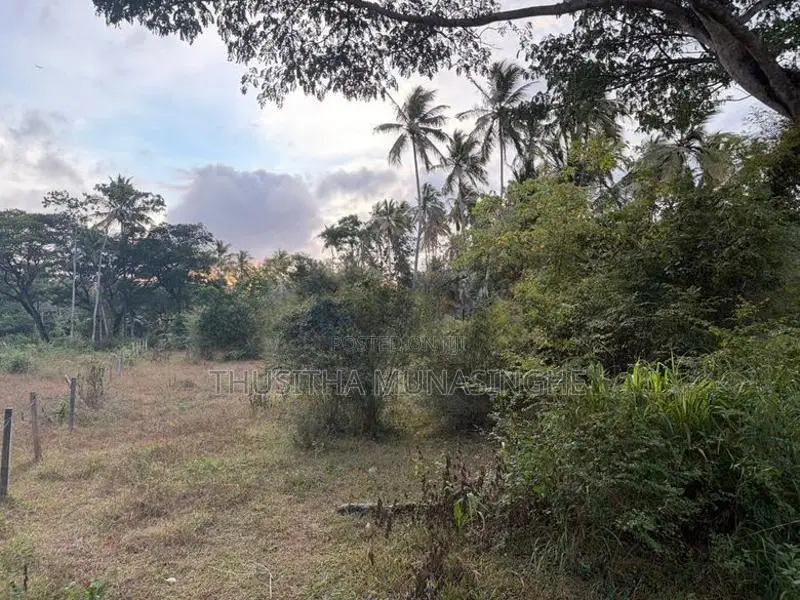 52 Perches Land For Sale In Hettipola Kuliyapitiya Main Road