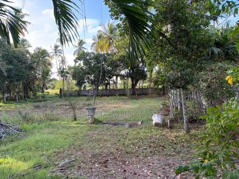 120 Perches Land For Sale In Hettipola