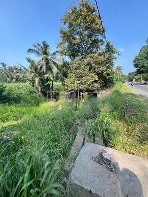 Land for Sale in Alawwa