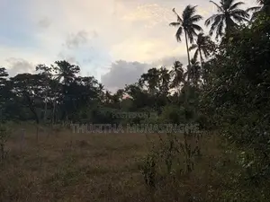 52 Perches Land For Sale In Hettipola Kuliyapitiya Main Road