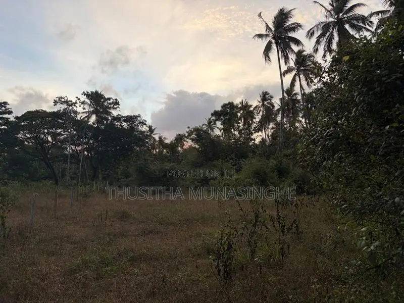 52 Perches Land For Sale In Hettipola Kuliyapitiya Main Road