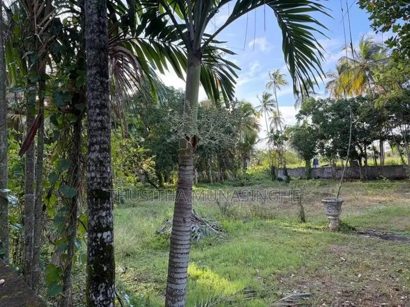 120 Perches Land For Sale In Hettipola