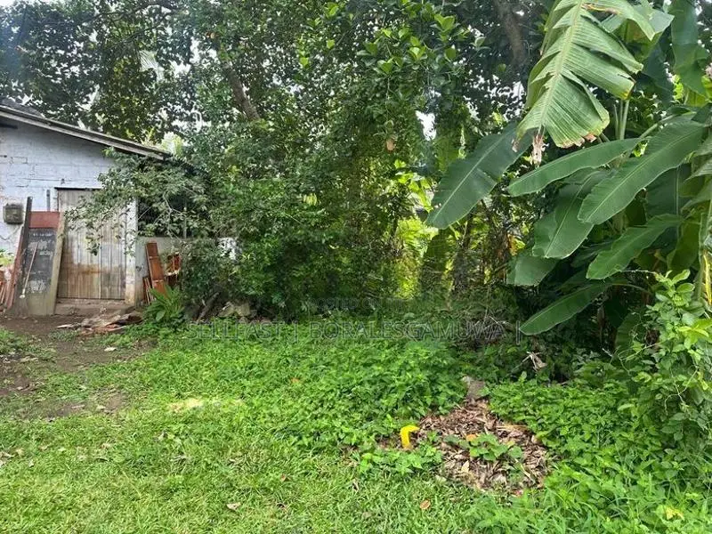 15.5P Prime Land For Sale in Kottawa