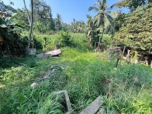 Land for Sale in Alawwa